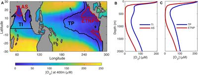 Efficient Particle Transfer to Depth in Oxygen Minimum Zones of the Pacific and Indian Oceans